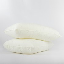 枕頭 / 【暢銷】日本大和抗菌A級枕 (2入組)