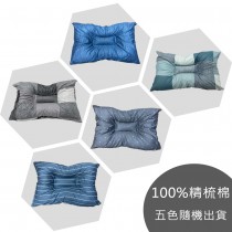 RueHong(枕頭)-【買一組送一組】MIT台灣製人體工學防螨抗菌止鼾枕-(枕心+枕套)1組